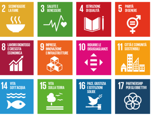 loghi degli obiettivi di sviluppo dell'Agenda 2030